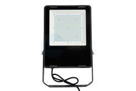 100W LED Floodlight